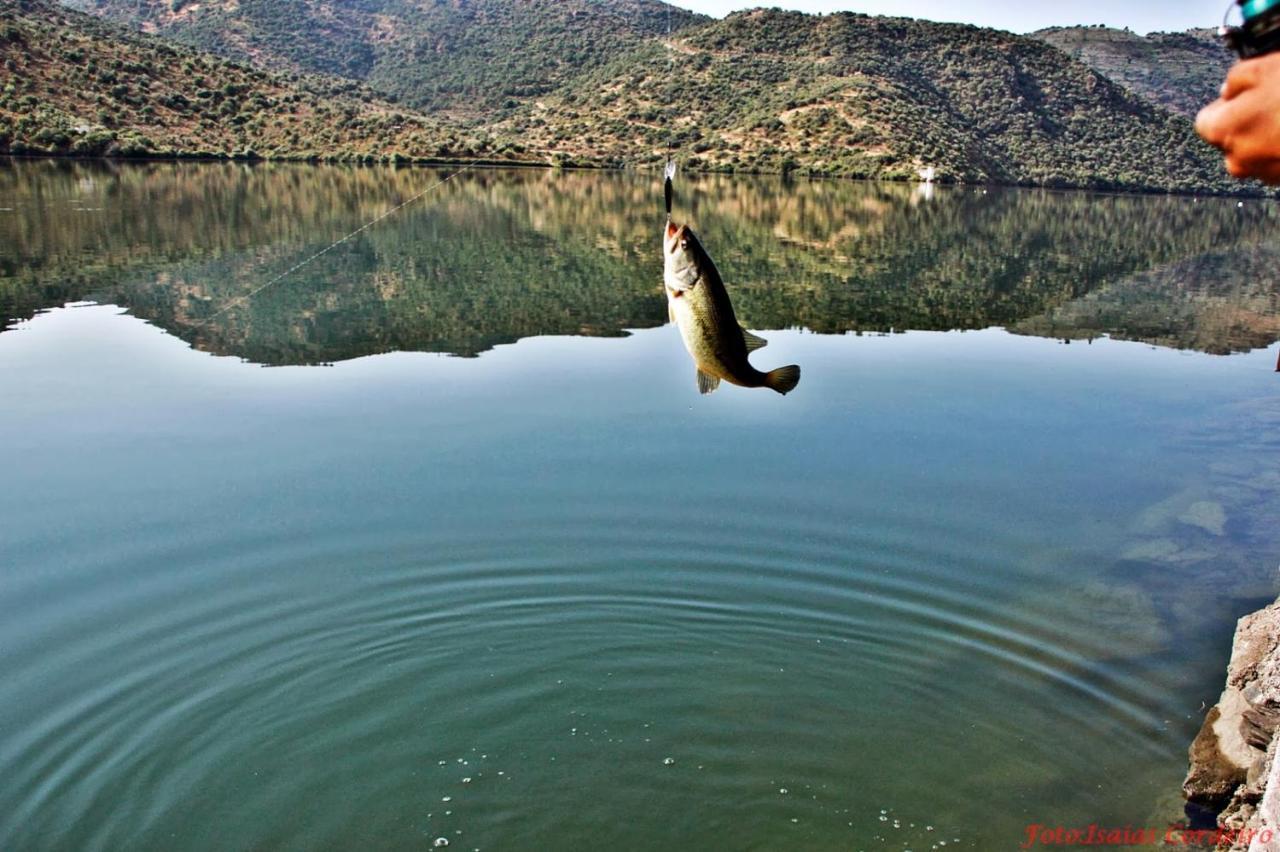 Moradias Do Douro Internacional Villa Freixo de Espada à Cinta Exterior foto