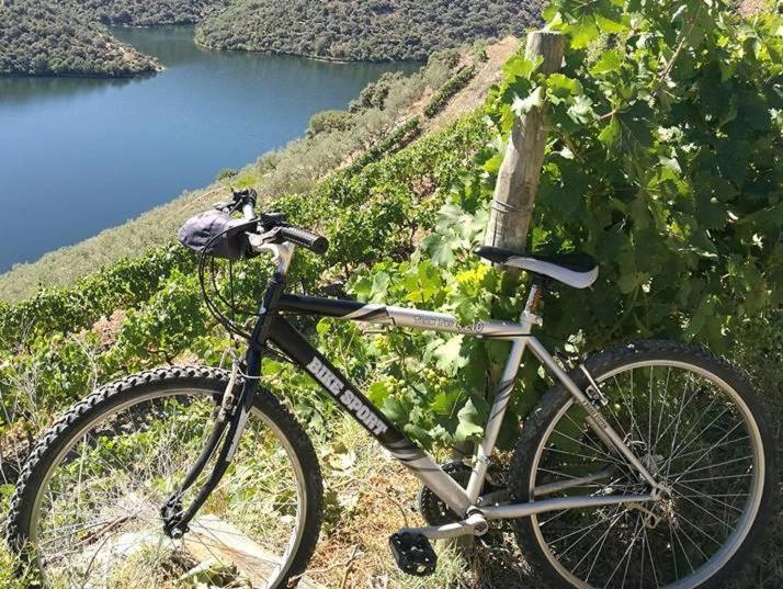 Moradias Do Douro Internacional Villa Freixo de Espada à Cinta Exterior foto