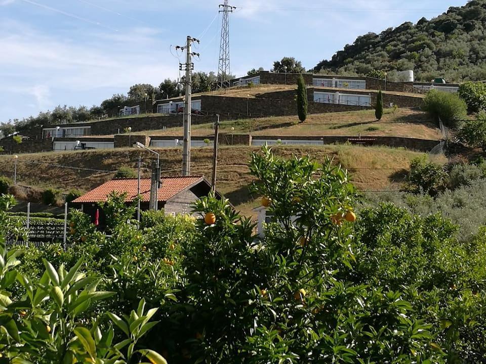 Moradias Do Douro Internacional Villa Freixo de Espada à Cinta Exterior foto